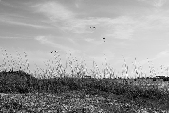 IMG_0771-2