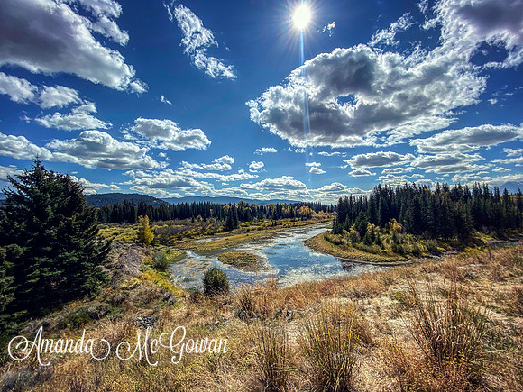 YELLOWSTONE