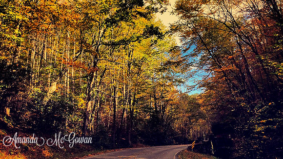NORTH CAROLINA
